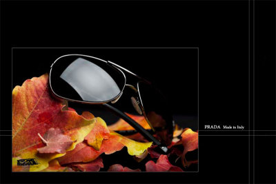 Prada Fall Collection