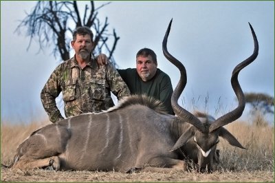 Kevin's Kudu