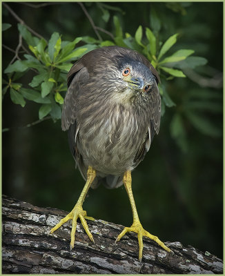 Hey . . . what a BIG Lens you have!