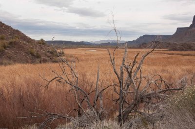 Colorado River basin