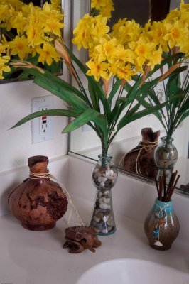 flowers and mirrors (uncropped)