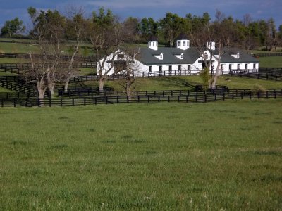 A HORSE BARN IN CENTRAL KENTUCKY