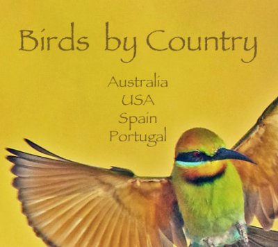Birds by Country.