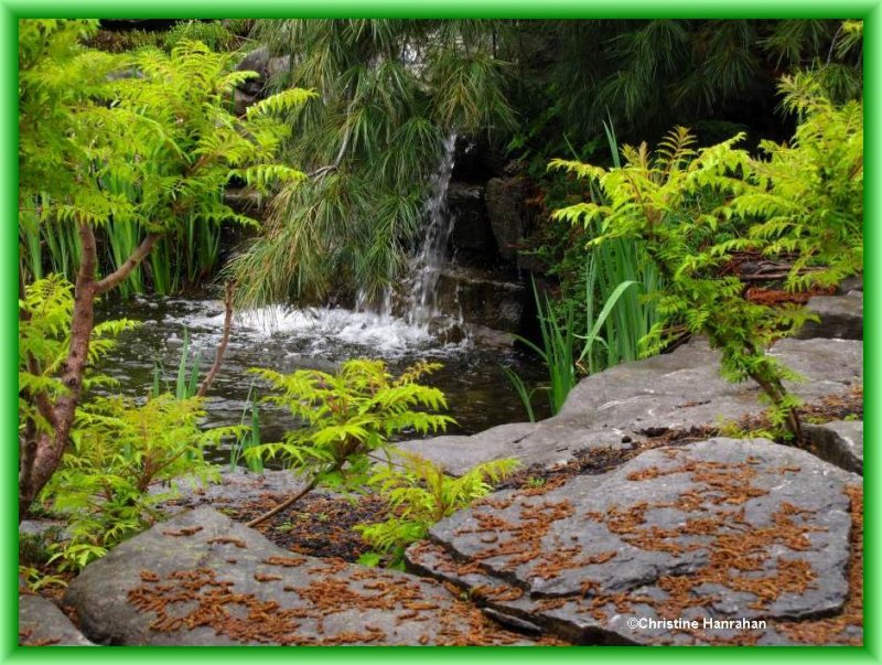 A tranquil corner