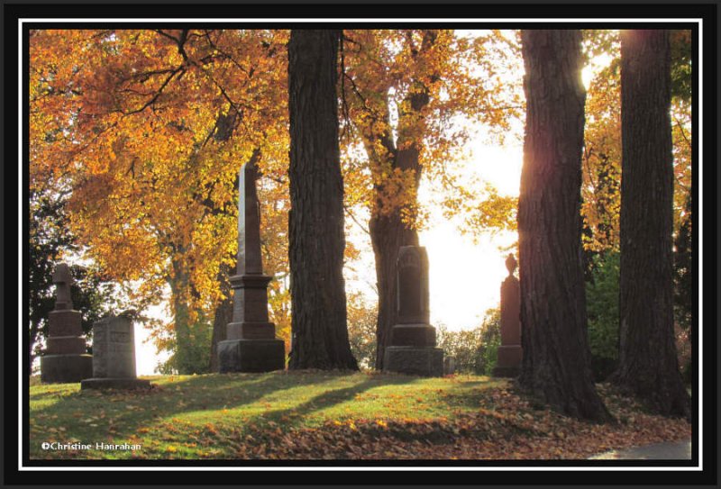 Autumn at Beechwood Cemetery