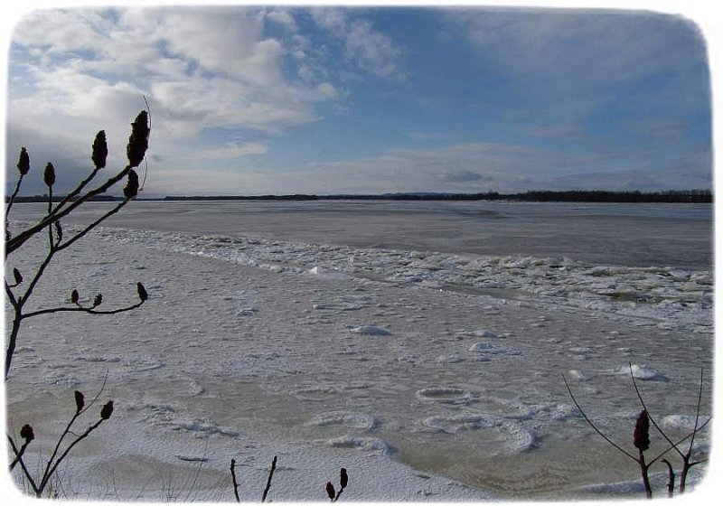 Ice along the Ottawa River