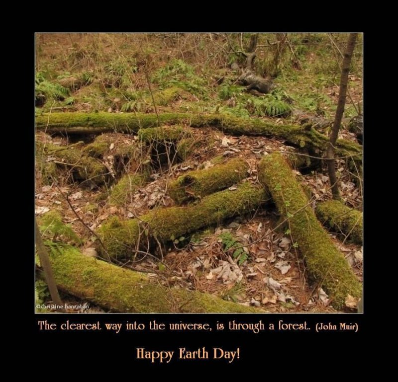 Happy Earth Day 2012!