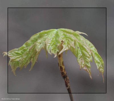 g4/50/883250/3/142799978.k63znwIc.jpg