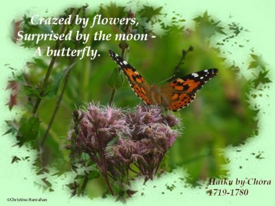 Crazed by flowers