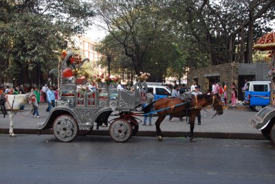 ALF_2012_0205_152636AA.JPG