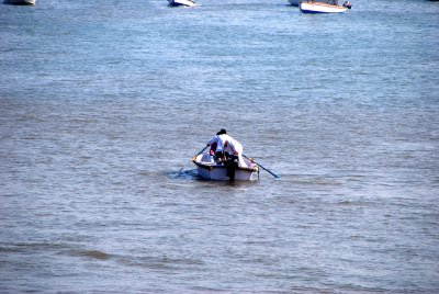 ALF_2012_0205_153044AA.JPG