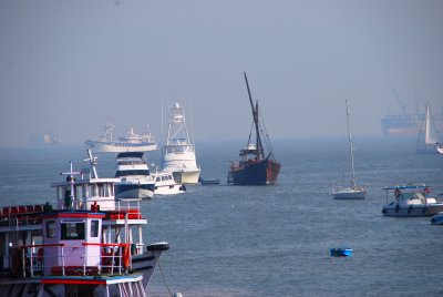 ALF_2012_0205_153124AA.JPG
