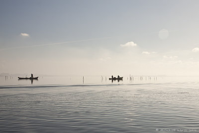 Oderdelta