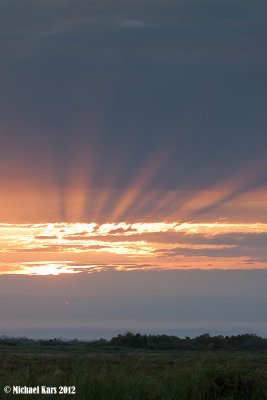 Sunrise at the Camargue