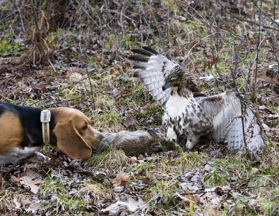 DSC_6085.jpg