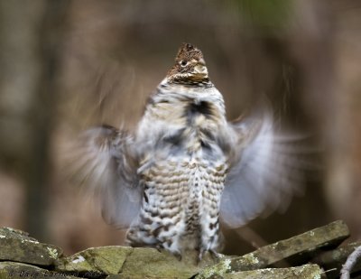 DSC_3032.jpg