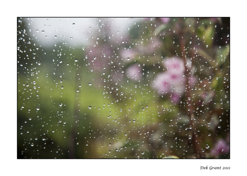rain