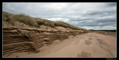 dune bank