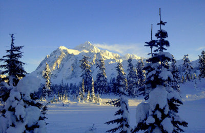Mt Shuksan in Winter