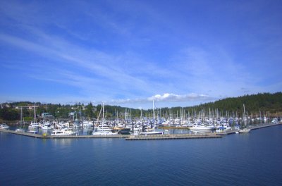 San Jaun Island/ Friday Harbor   card # 301