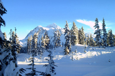 Mt Shucksan Snow Covered  card # 182