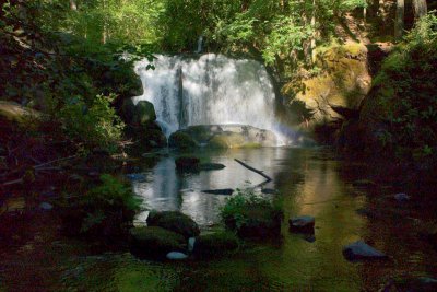 Water Falls  card # 080