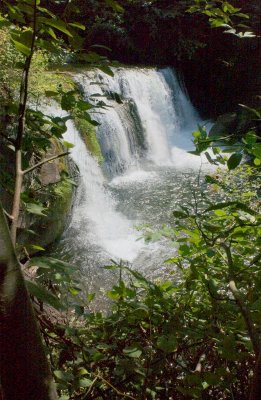 Water Falls