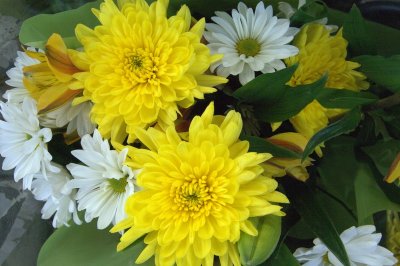 flowers fm 030.jpg