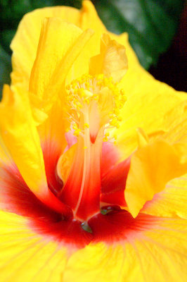 bakerview nursery 014.jpg