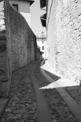 IMG_3952-1024-bw.jpg