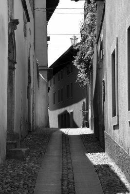 IMG_3964-1024-bw.jpg