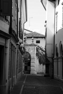 IMG_4019-1024-bw.jpg