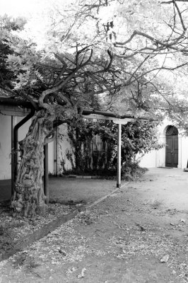 IMG_4023-1024-bw.jpg