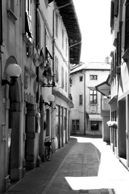 IMG_4027-1024-bw.jpg