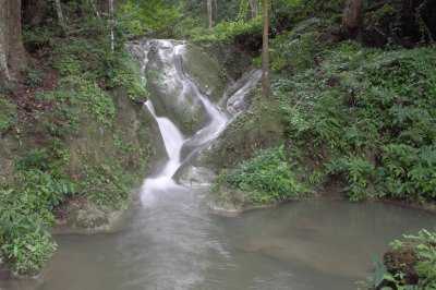 PICT2317.JPG