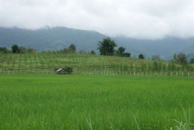 PICT3104.JPG