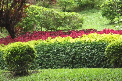 PICT3157.JPG