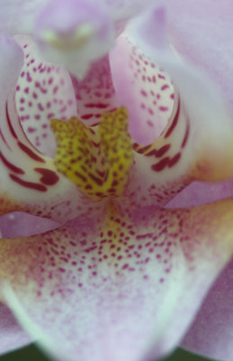 PICT3191.JPG