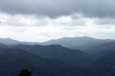 PICT3205.JPG