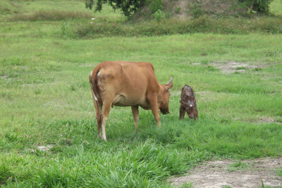PICT3721.JPG