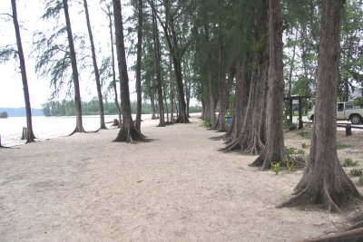 PICT3839.JPG