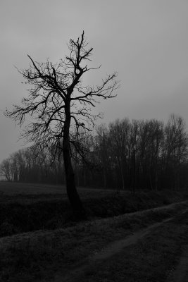 Qualche foto