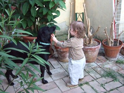 Good doggie!