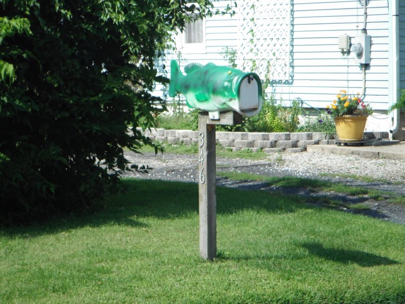 DSCF0107.JPG