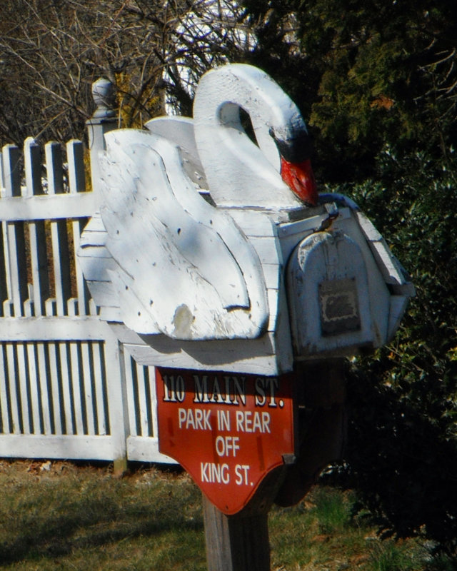DSCF0178b.jpg