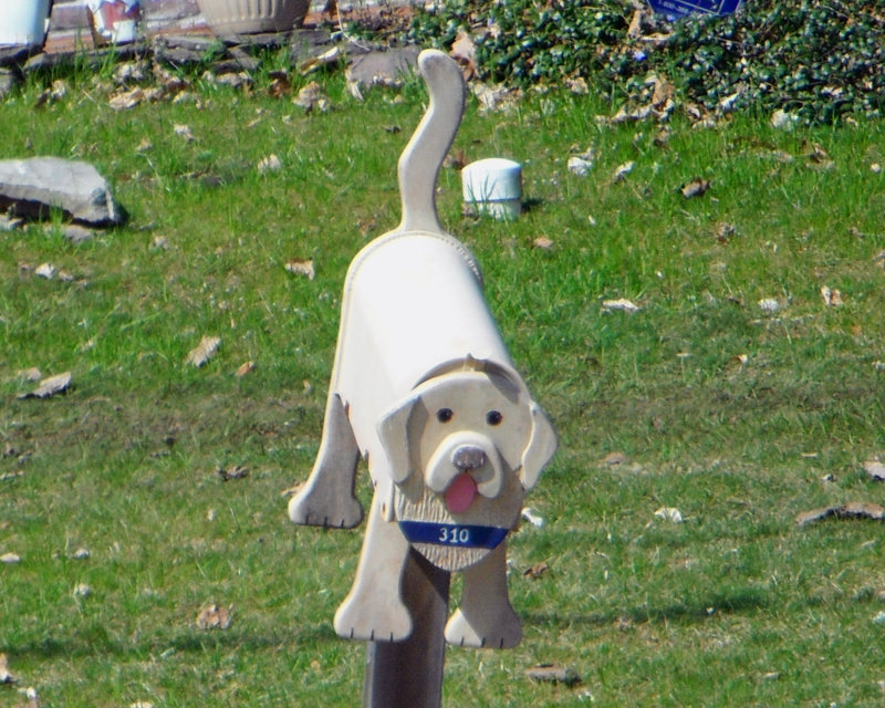 DSCF0182b.jpg