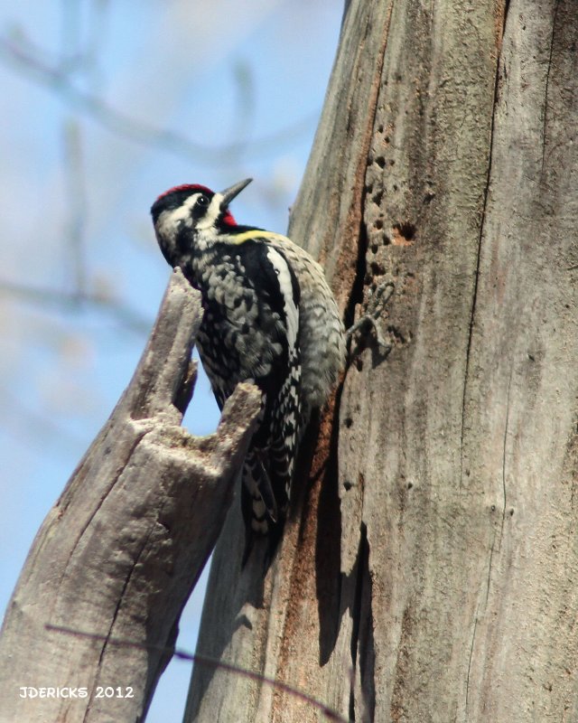 IMG_1869b.jpg