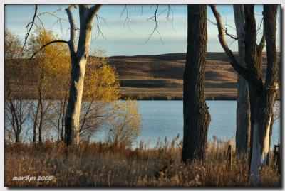 'early morning light ... '