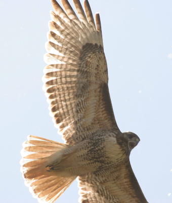 6-22 rt 1545.jpg