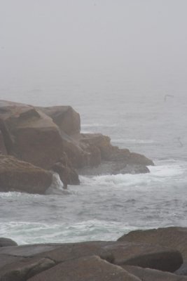 Peggys Cove